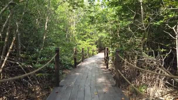 Mouvement le long du pont en bois parmi les plantes de la jungle tropicale — Video