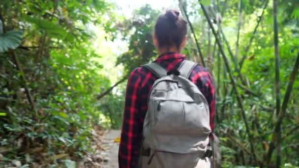 Mujer joven con mochila camina en exuberante bosque tropical — Vídeos de Stock