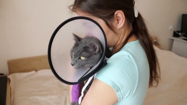 Grijze kat in een dierenarts kraag met een verbonden poot op de handen van een brunette vrouw — Stockvideo