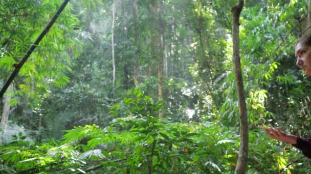 Пишний тропічний тропічний ліс і рюкзак дама проходить камеру — стокове відео