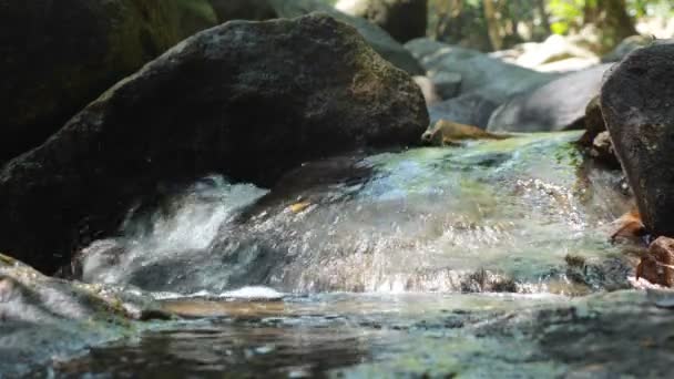 La lumière du soleil tombe sur le ruisseau avec de l'eau claire coulant des pierres passées — Video