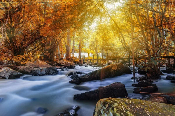 Manzara fotoğraf, sri DIT şelale, yağmur ormanlarında, Khao Kho phetchabun Eyaleti, Tayland güzel şelale