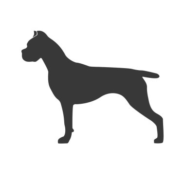 Cane Corso Italiano siluet. Köpek beyaz arka planda siyah profil stand. Öğe simgesinin kreş logosu, yazdırma, vb bir logo için tasarım. Vektör çizim.