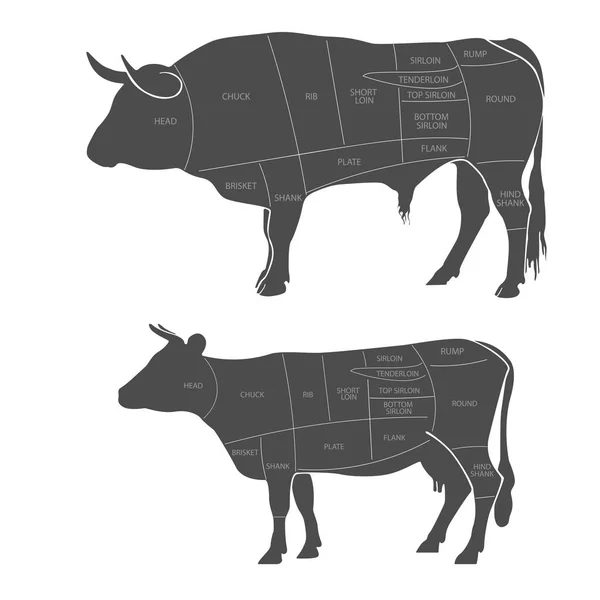 Rindfleisch Schneiden Das Schema Des Fleischschneidens Auf Weißem Hintergrund Metzger — Stockvektor