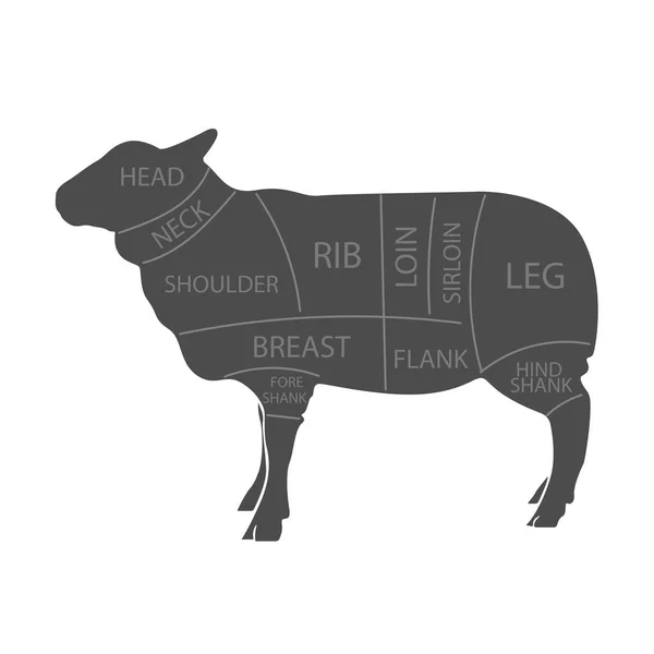 切削のラインとラム肉の加工方式です デザイン精肉店の精肉店 バナー 白い背景を図します ベクトル図 — ストックベクタ