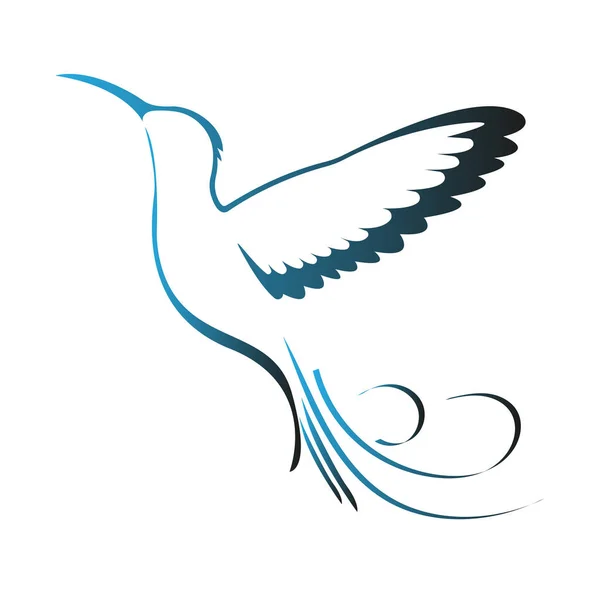 Kolibri Symbol Farbe Birdie Logo Vektor Illustration Für Design — Stockvektor