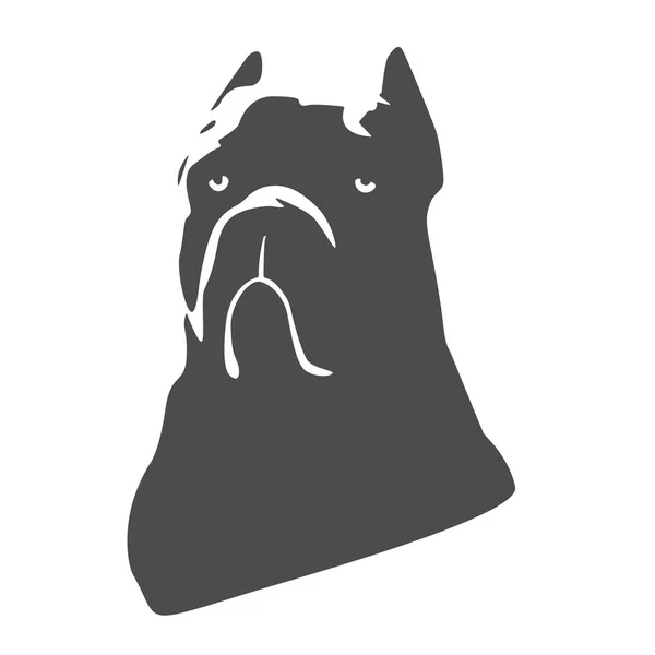 Cane Corso Italiano siluet. Simge köpek doğurmak İtalyan cane Corso beyaz bir arka plan üzerinde siyah. Logo ve tasarım öğesi. Vektör.