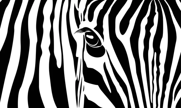 Zebra. Beyaz zemin üzerinde bir Zebra kafa. Vektör çizim tasarımınız için. eps10