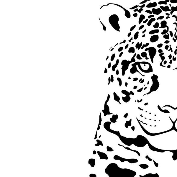 Siyah ve beyaz vektör kroki yarım bir Jaguar başkanı. Gösterim amacıyla tasarım.