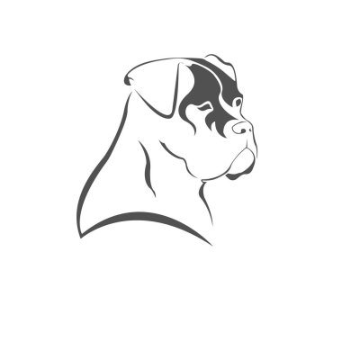 Simge dog Head'a Cane Corso, logo öğesi. Vektör çizim.  