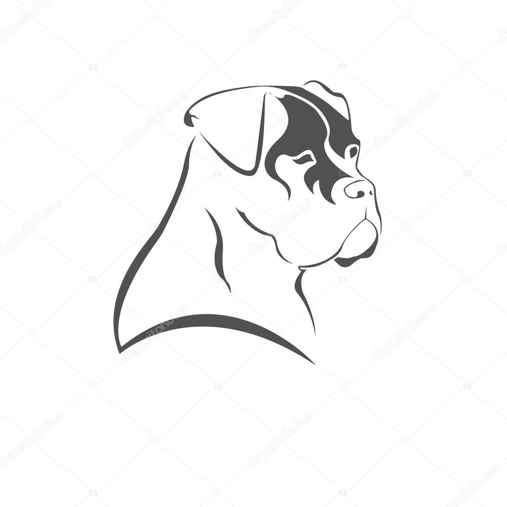 Icon dog head Cane Corso, logo element. Vector illustration.  