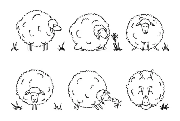 面白い漫画の羊セット 白い背景に農場の動物 かわいい子羊ベクターイラスト — ストックベクタ