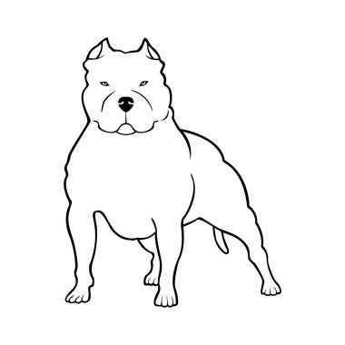 Pitbull Terrier köpek logosu. Vektör illüstrasyonu.