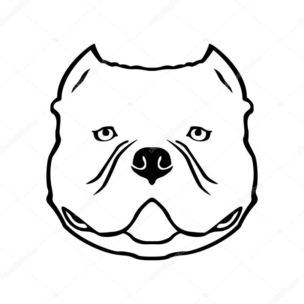 American bully dog emblem. American bully head drawing. Vector illustration.