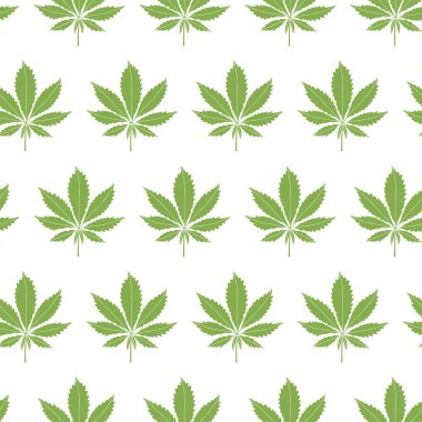Yeşil kenevir yaprağı pürüzsüz arka plan. Beyaz arkaplanda marihuana.