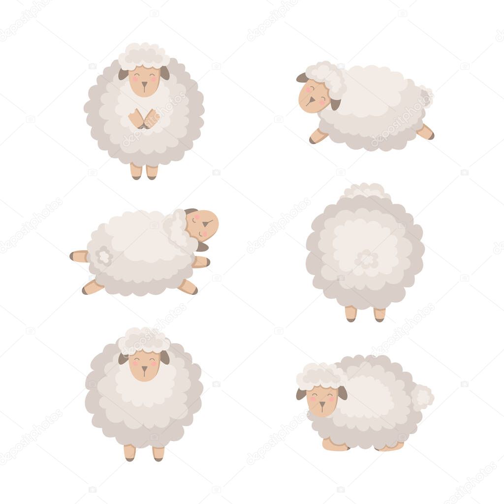 Cartoon vector sheep collection isolated on white.