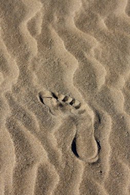 Kumda ayak izi