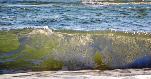 Beautiful Sea Surf Blue Waves — Stock Photo, Image