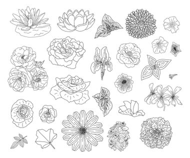 Boyama kitabı, dekorasyon tasarımı, düğün ve tebrik kartı için karalama tarzında çiçekler içeren soyut bir koleksiyon. Kitap sayfası. Zentangle. Vektör