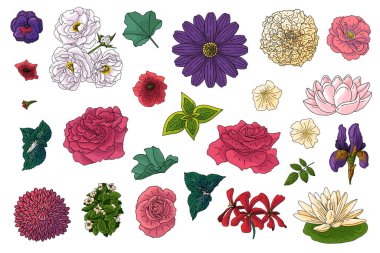 Karalama çizim tarzında farklı çiçekler. Düğün çiçeği tasarımı için el çizimi elementler, vektör illüstrasyonu. Bahar çiçekleri..
