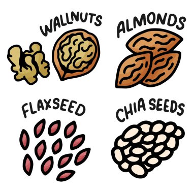 Duvar kağıdı tasarımı için el yapımı fındıklar. Beyaz arka plan. Doğa logosu koleksiyonu. Çizgi sanatı diyeti sağlıklı yiyecekler. Vektör