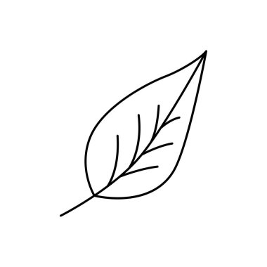 Modern ince çizgi yaprak ikonu. Kaliteli taslak sembolü. Basit mono lineer piktogram, çizim, sanat, işaret. Web grafikleri için felç logosu konsepti. Vektör