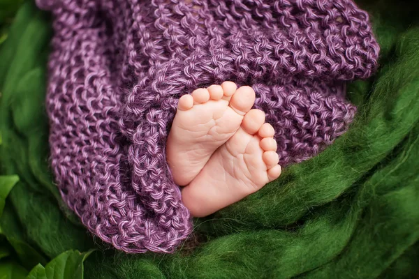 Close up picture of new born baby feet in knitted plaid — Stock Photo, Image