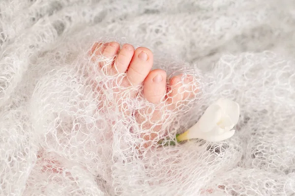 Close-up foto van de pasgeboren baby voeten op gebreide plaid en stroom — Stockfoto