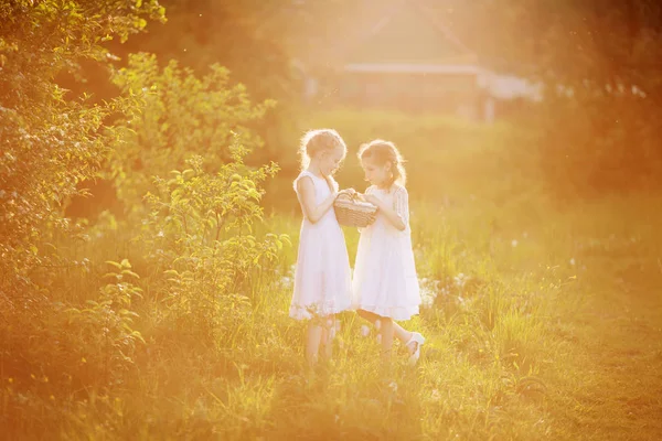 Zwei kleine Mädchen bei Sonnenuntergang mit entzückenden Entchen — Stockfoto