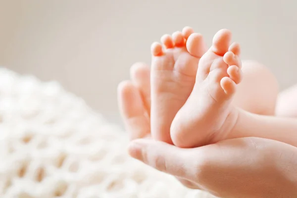 Babyfødder i moderhænder. Lille nyfødt babys fødder på kvindelig sh - Stock-foto