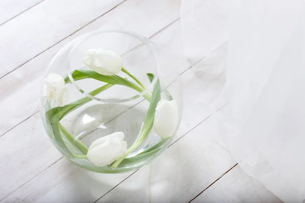 Свіжі білі тюльпани у кулястій скляній вазі. Зображення крупним планом — стокове фото