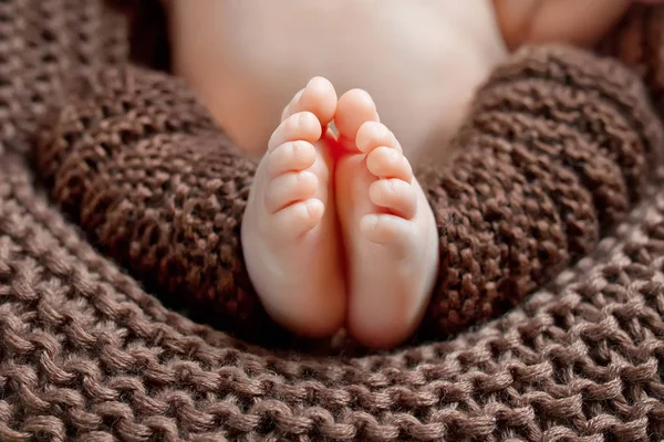 Крупный план новорожденных ног на вязаной клетке — стоковое фото
