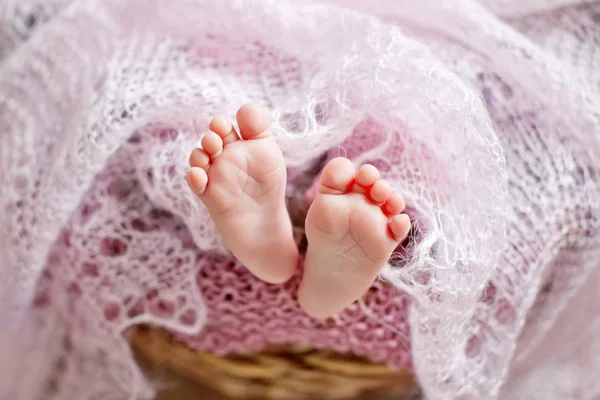 Крупный план новорожденных на розовой клетке — стоковое фото