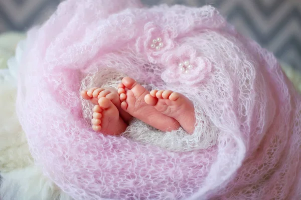 Små føtter, nyfødte tvillinger, pakket inn i et teppe – stockfoto