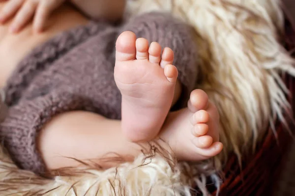 Close up picture of new born baby feet — Stock Photo, Image