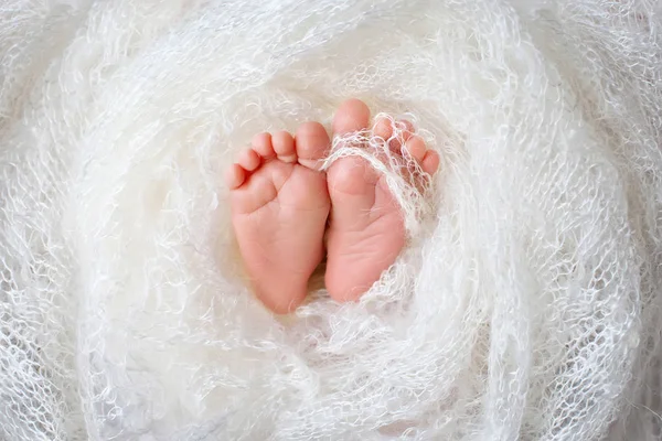 Close up picture of new born baby feet in knitted plaid — Stock Image Close up picture of new born baby feet in knitted plaid Stock Image