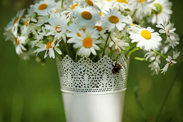 Vackra kamomill blommor i en vaseon grön bokeh bakgrund — Stockfoto