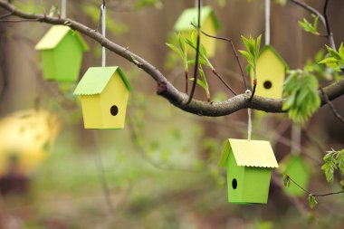 Kuş evini dekor. Paskalya dekorasyon bahçede. Paskalya Pazar