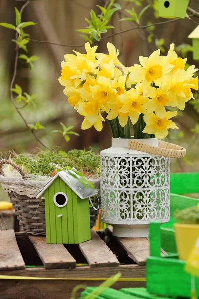 Decoración de Pascua con flores de primavera, flores narcisas. Primavera —  Fotos de Stock