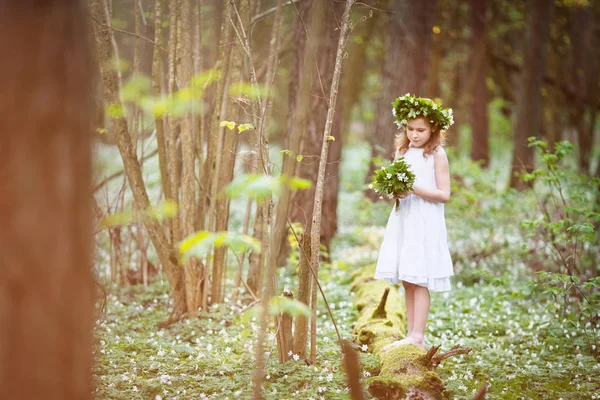 Fetiță frumoasă într-o rochie albă merge în lemnul de primăvară — Fotografie, imagine de stoc