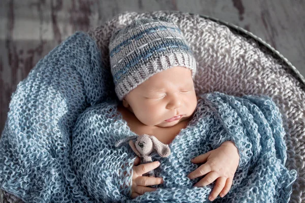Beautiful little newborn boy 20 days  sleeps in a basket. Portra — Stock Photo, Image