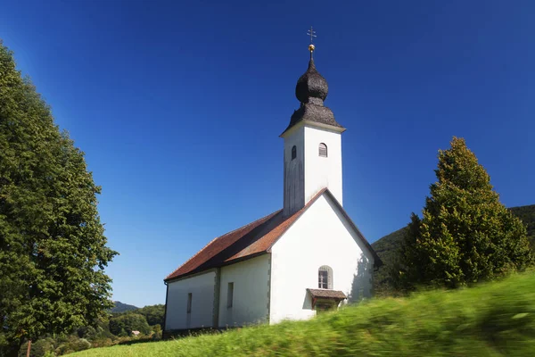 Slovenya kırsalındaki küçük beyaz kilise yemyeşil ağaçların arasında