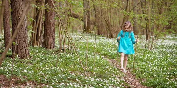 Hermosa Niña Con Vestido Azul Caminando Bosque Primavera Niño Jugando — Foto de Stock