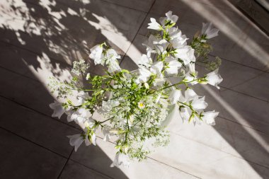 Cam vazoda beyaz çan çiçekleri. Akşamları güneş ışığı ve gölgede çiçekler. Muhteşem bir şekil, beyaz papatya saksısından kıvrımlı ev dekorasyonu için ahşap üzerinde uzun ve eğimli bir gölge.. 