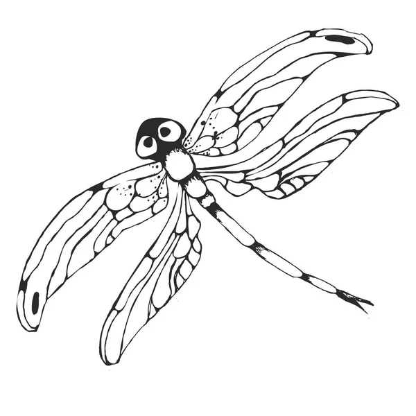 Dragonflie. Hand getekend grafische illustratie in zwart-wit — Stockvector