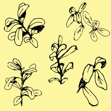 Siyah çizilmiş kroki çilek ve izole üzerinde renkli arka plan bırakır. Vektör çizim.