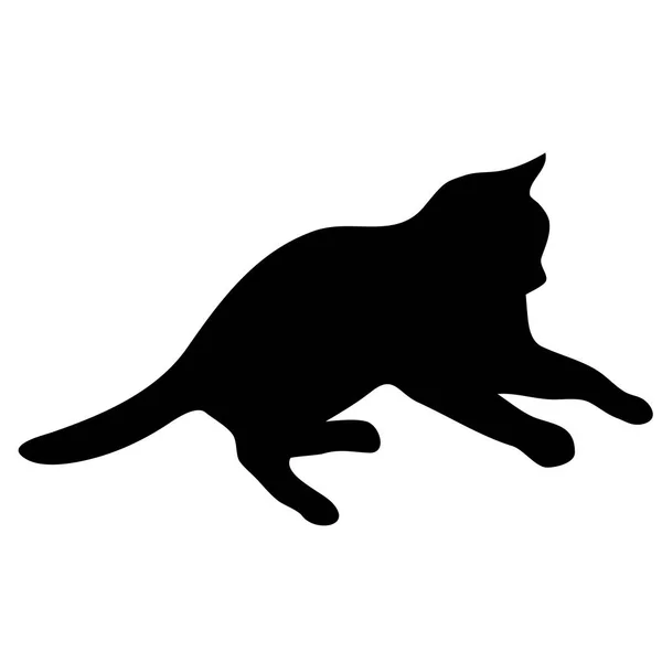 Katten collectie - vector silhouet — Stockvector