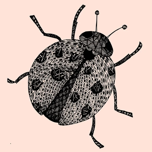 Ladybird on white background . Vector illustration. — Stock Vector