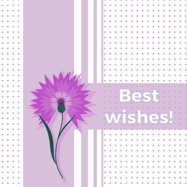 Floral greeting card best wishes with blue flower cornflower or centaurea cyanus. Polka dot background. Cartoon cornflower postcard illustration