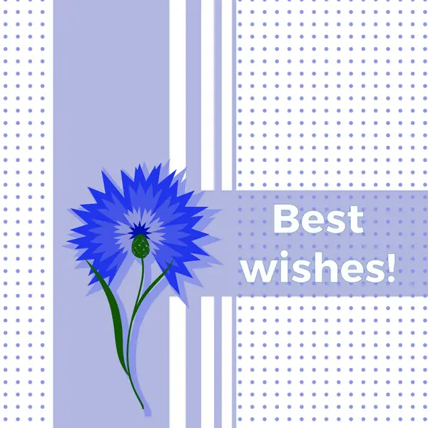 Tarjeta de felicitación floral mejores deseos con flor azul aciano o centaurea cyanus. Fondo de lunares. Dibujos animados cornflower postal ilustración — Foto de Stock